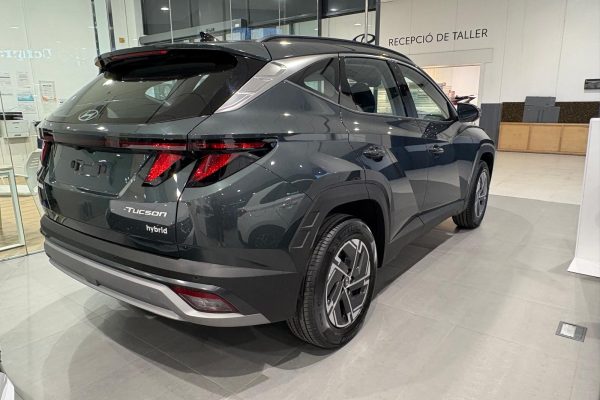 WhatsApp Image 2026-04-10 at 12.41.02 (3)